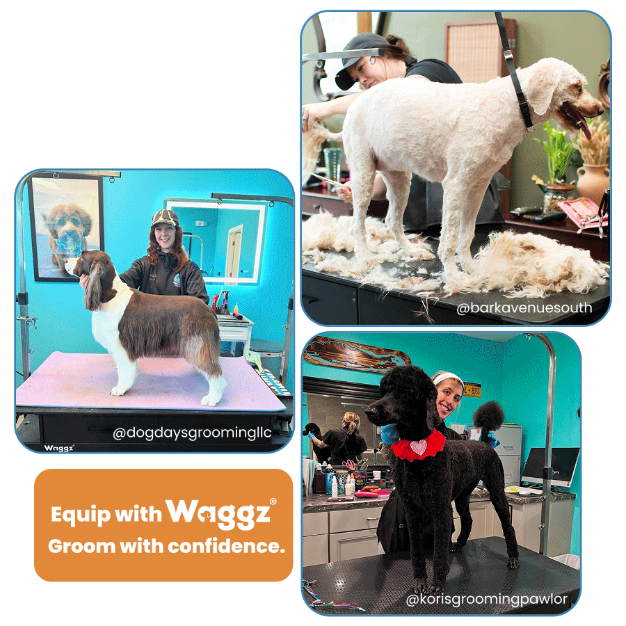 Why Groomers Worldwide Trust Waggz