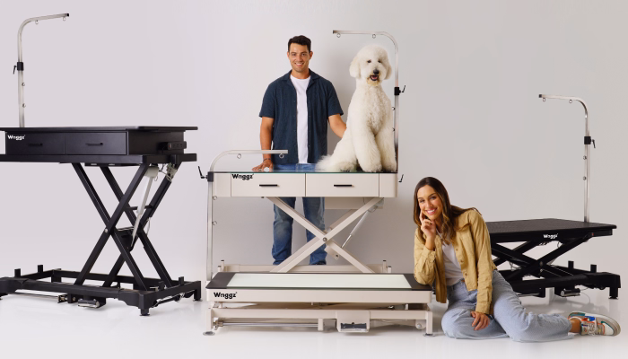 Waggz Grooming Table Buying Guide