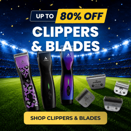 world cup sales clippers