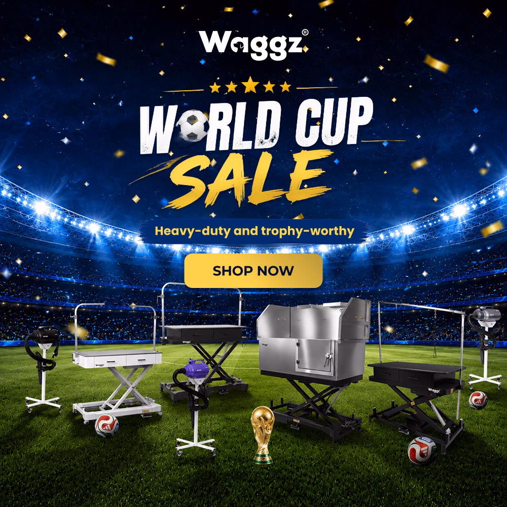 world cup sales mobile banner