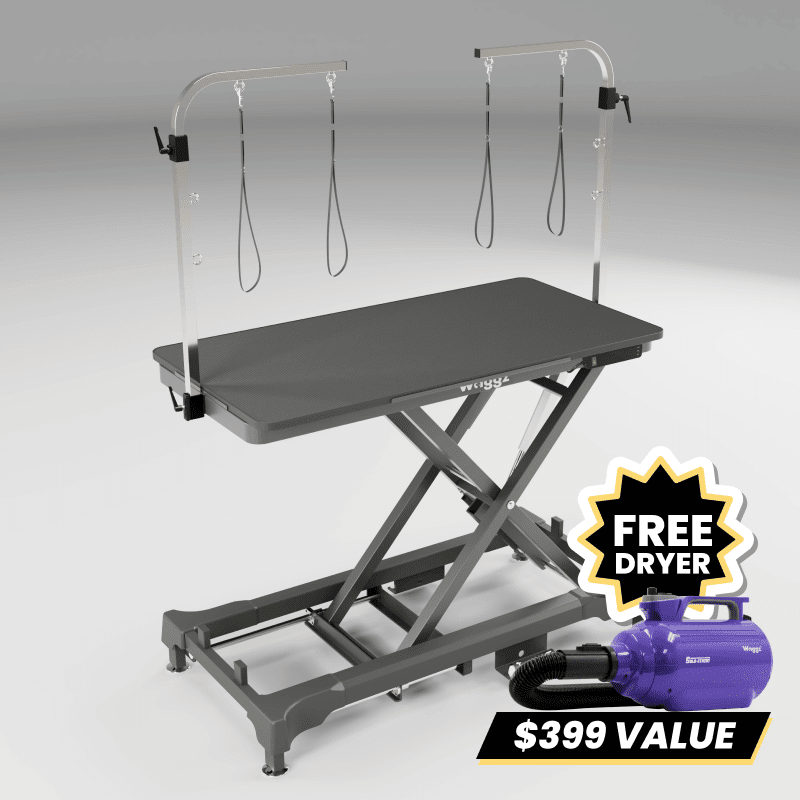 Waggz Step-Low Electric Dog Grooming Table (Black) - Image 2