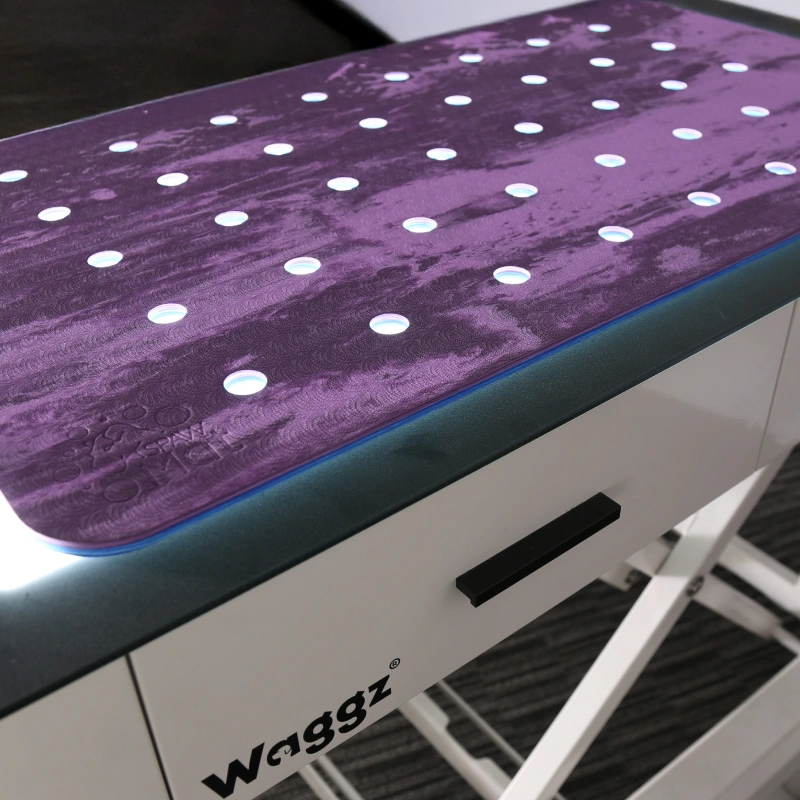 PawMat Anti-Fatigue Reversible Table Mat (Blue/Purple) Dog Grooming Mat - Image 4