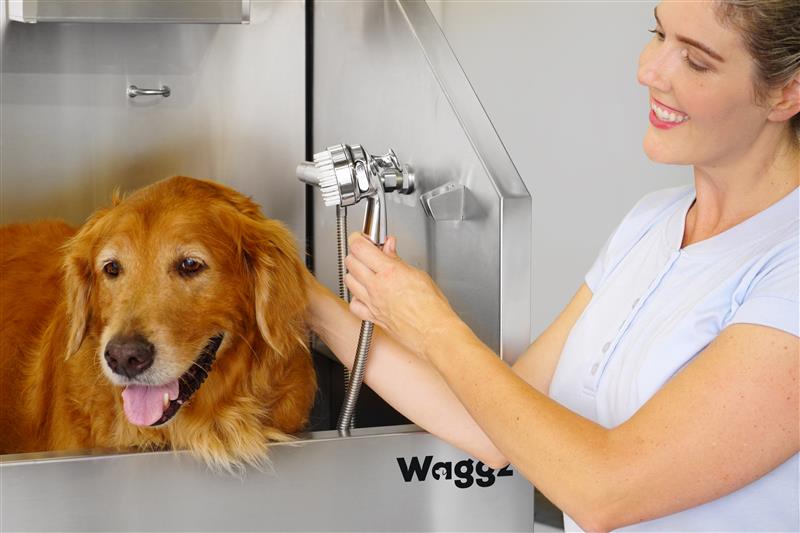 goldgoldgoldgold gradient for foil dopnt del copy 2