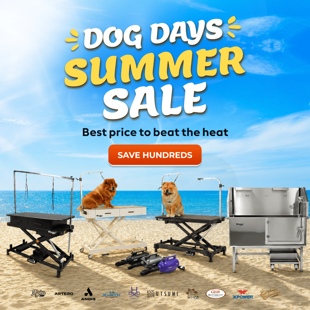 Dog days summer sale Main Banner Mobile