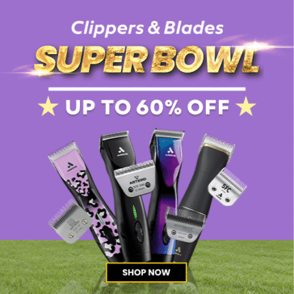 Super Bowl 2026 Categroy Clippers