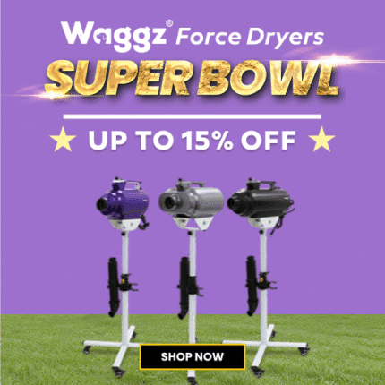 Super Bowl 2026 Categroy Dryer