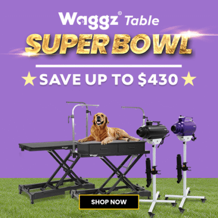 Super Bowl 2026 Categroy Table