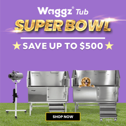 Super Bowl 2026 Categroy Tub