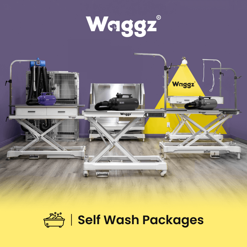 SELF WASH PACKAGES - Image 1