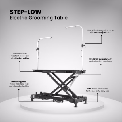 Step Low