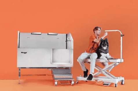 Pet Grooming Equipment