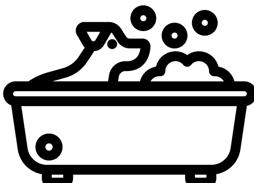 Self Wash Facility Icon