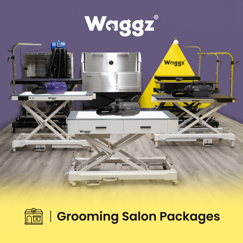 GROOMING SALON PACKAGES