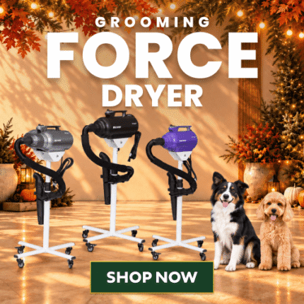 Spend To Save Sale 2026 Dryer