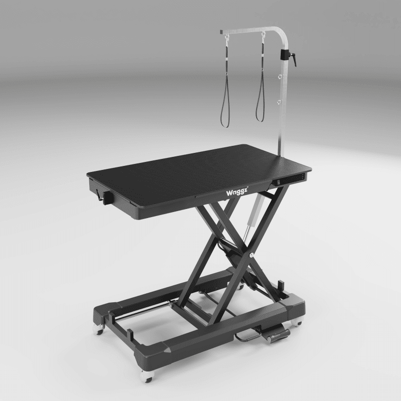 979_Main Waggz Roll-Light Electric Dog Grooming Table (Black) - Image 1
