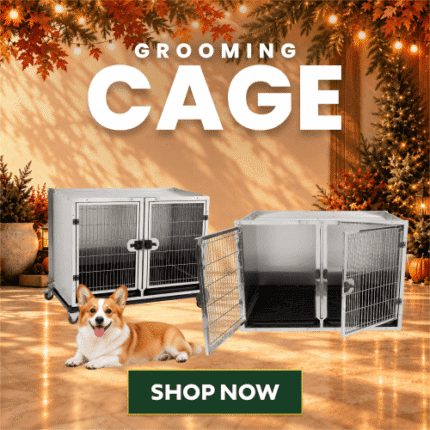 Spend To Save Sale 2026 Cage