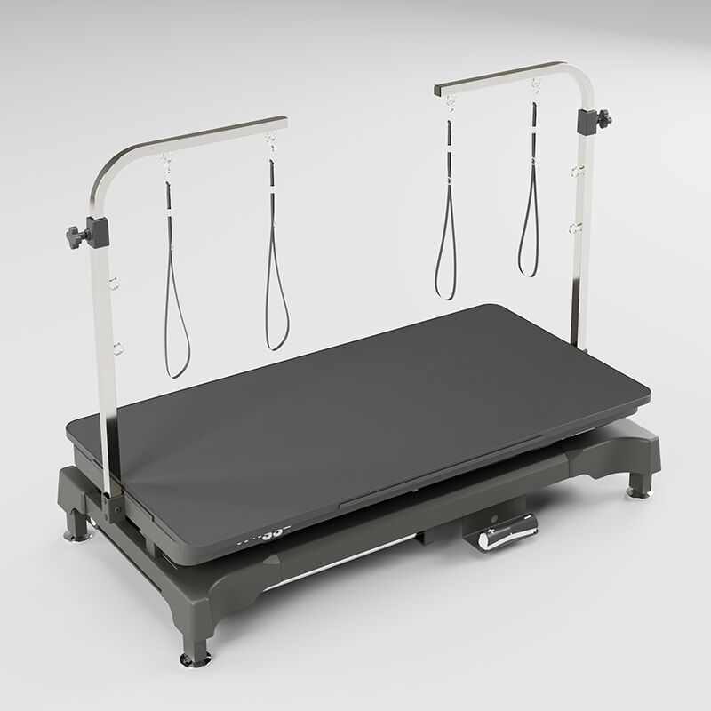 MOBILE GROOMING PACKAGES - Image 5