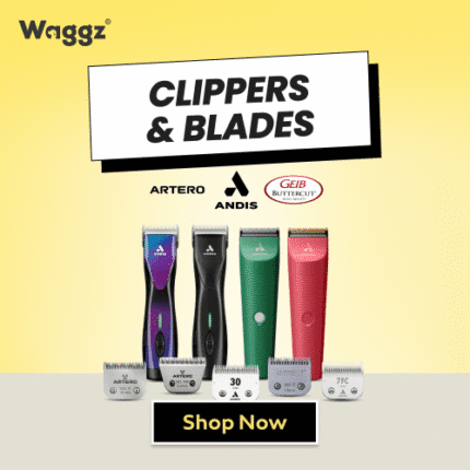 Refund Spending Spree Sale Clippers