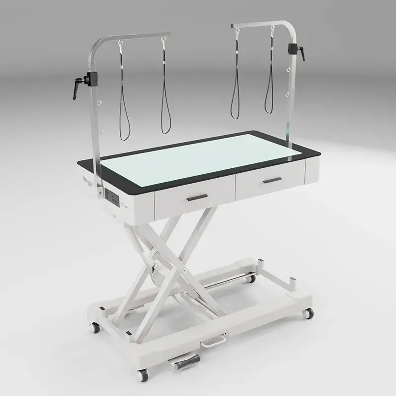 WZ-929P-Mian-Image- Waggz Roll-Bright LED Electric Dog Grooming Table with Drawers - Image 1