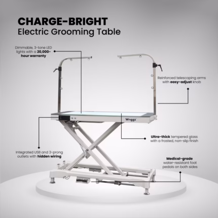 Charge Bright