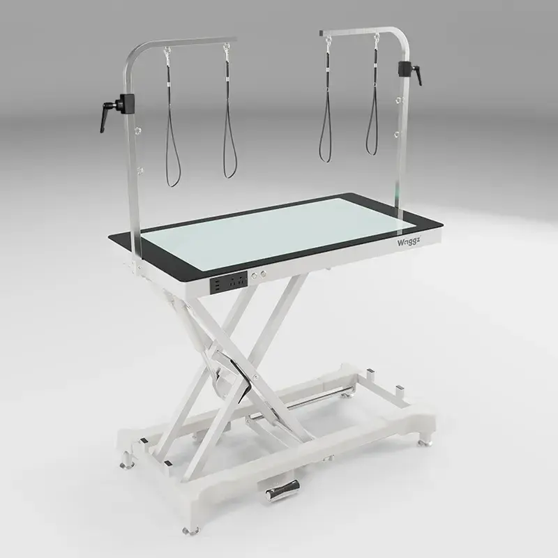 Waggz Charge-Bright LED Electric Dog Grooming Table - Image 1