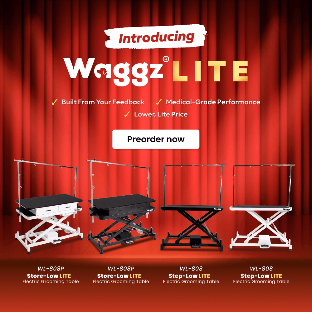 waggz lite banners m