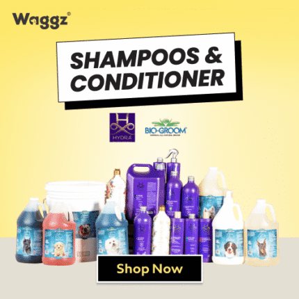 Refund Spending Spree Sale Shampoos