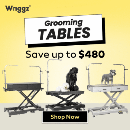 Refund Spending Spree Sale Table