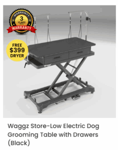 Screenshot 2025 07 22 104731