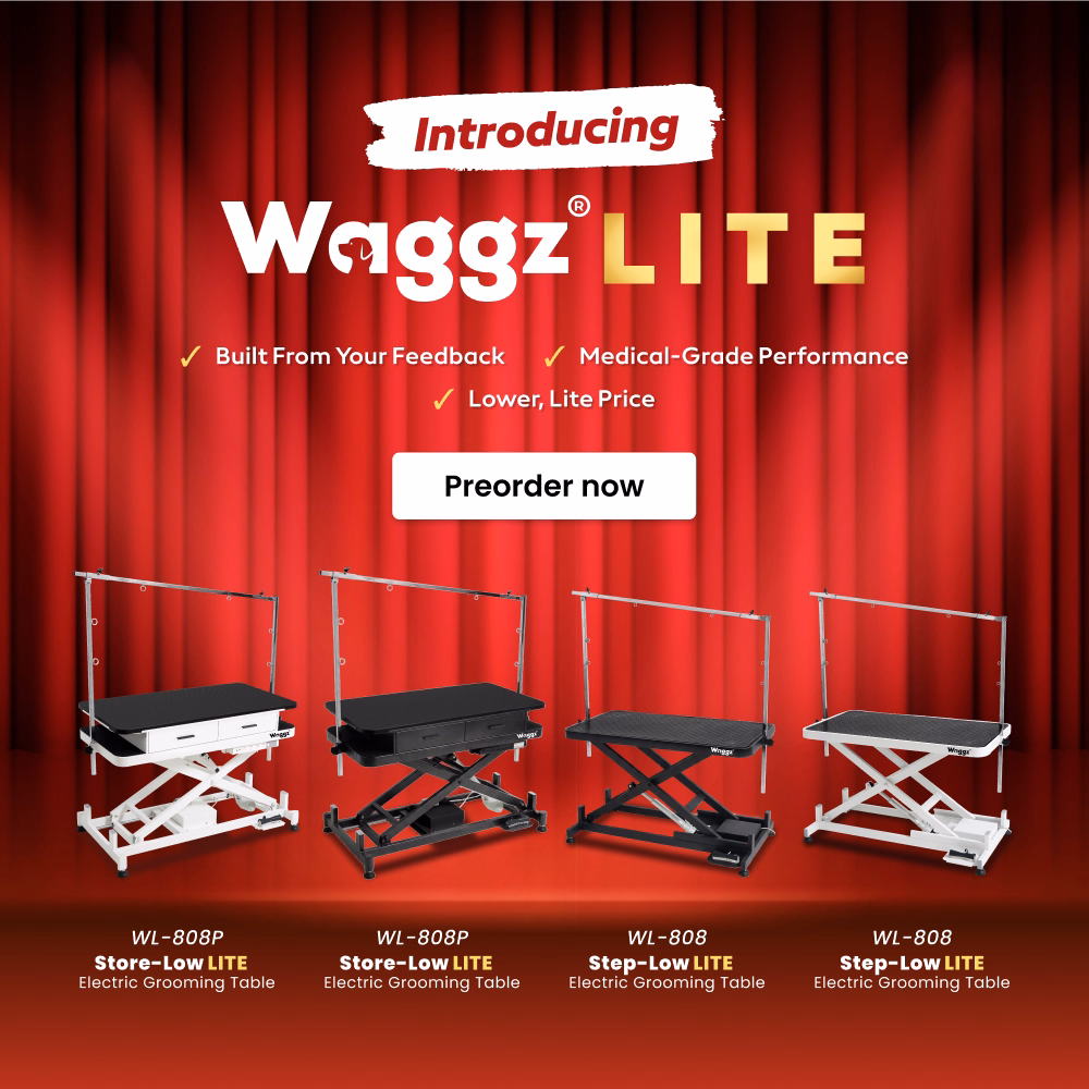 introducing waggz lite m