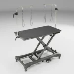 Waggz Step-Low Electric Dog Grooming Table (Black)