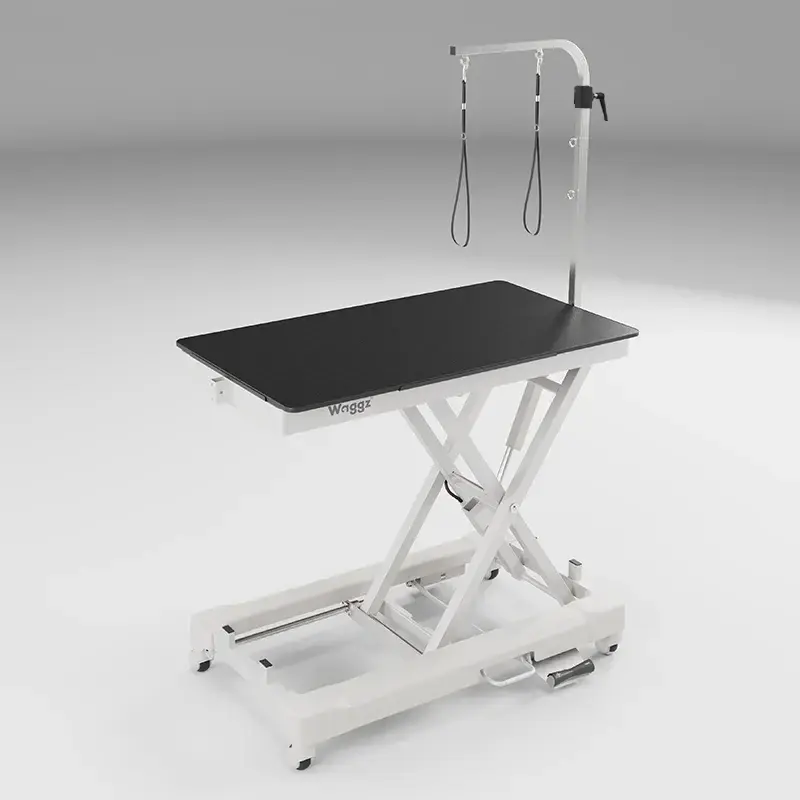WZ-979-Main-Image- Waggz Roll-Light Electric Dog Grooming Table (White) - Image 1