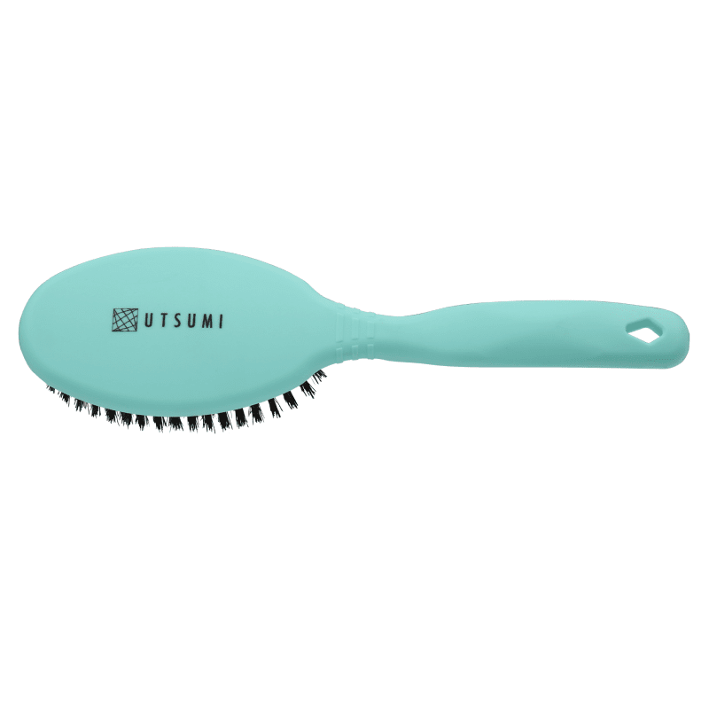 Utsumi Bristle Brush - Teal (Short) - Image 1