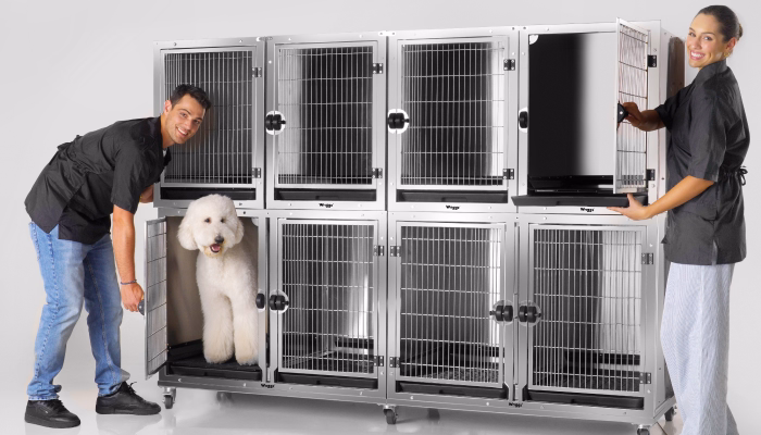 Cage Grooming Buying Guide for Professional Groomers