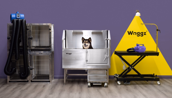 How to Start a Mobile Dog Grooming Business
