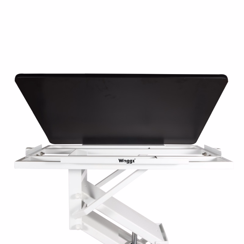 Waggz Hydraulic Dog Grooming Table with Removable Tabletop - Image 3