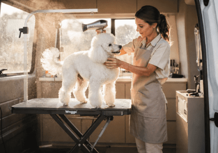 Best Mobile Dog Grooming Equipment for Vans Trailers and House Calls scaled 1