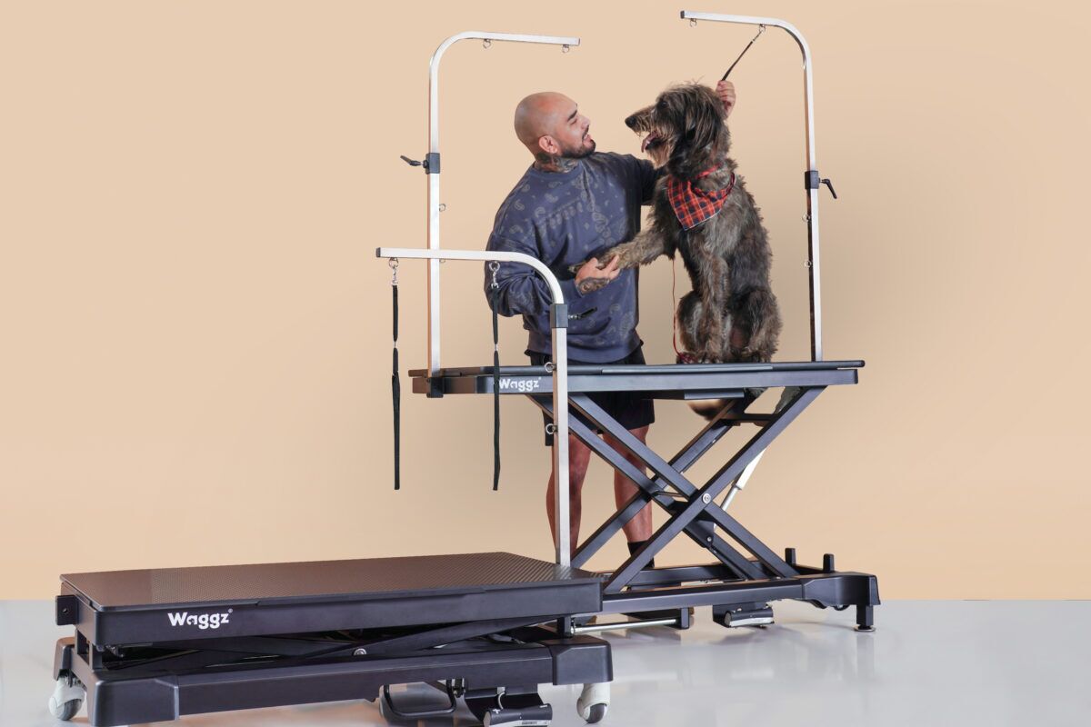 How Waggz Helps You Build the Right Grooming Setup From Day One