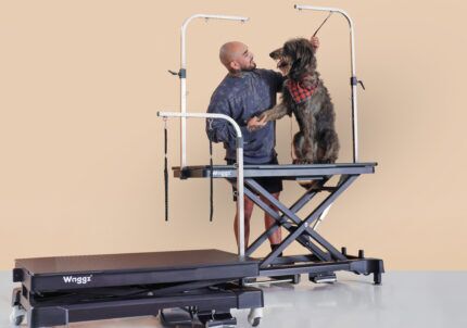 How Waggz Helps You Build the Right Grooming Setup From Day One