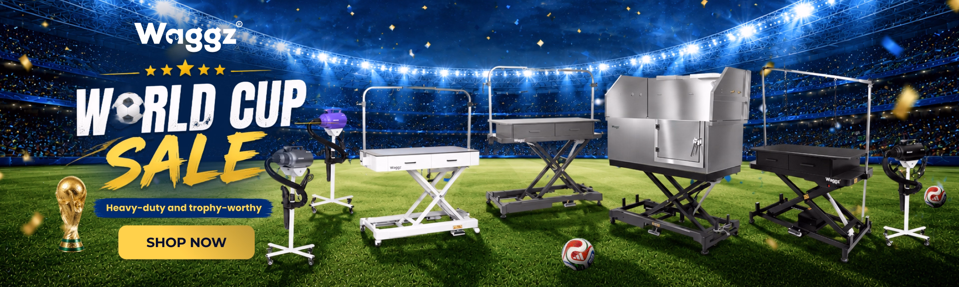 world_cup_sales_main_banner