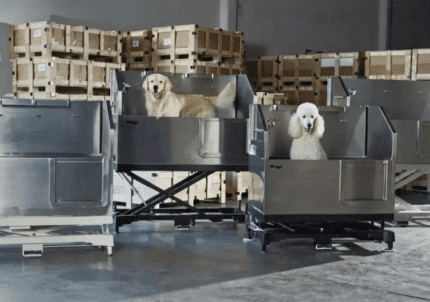 Best Professional Grooming Tubs for Large Dogs