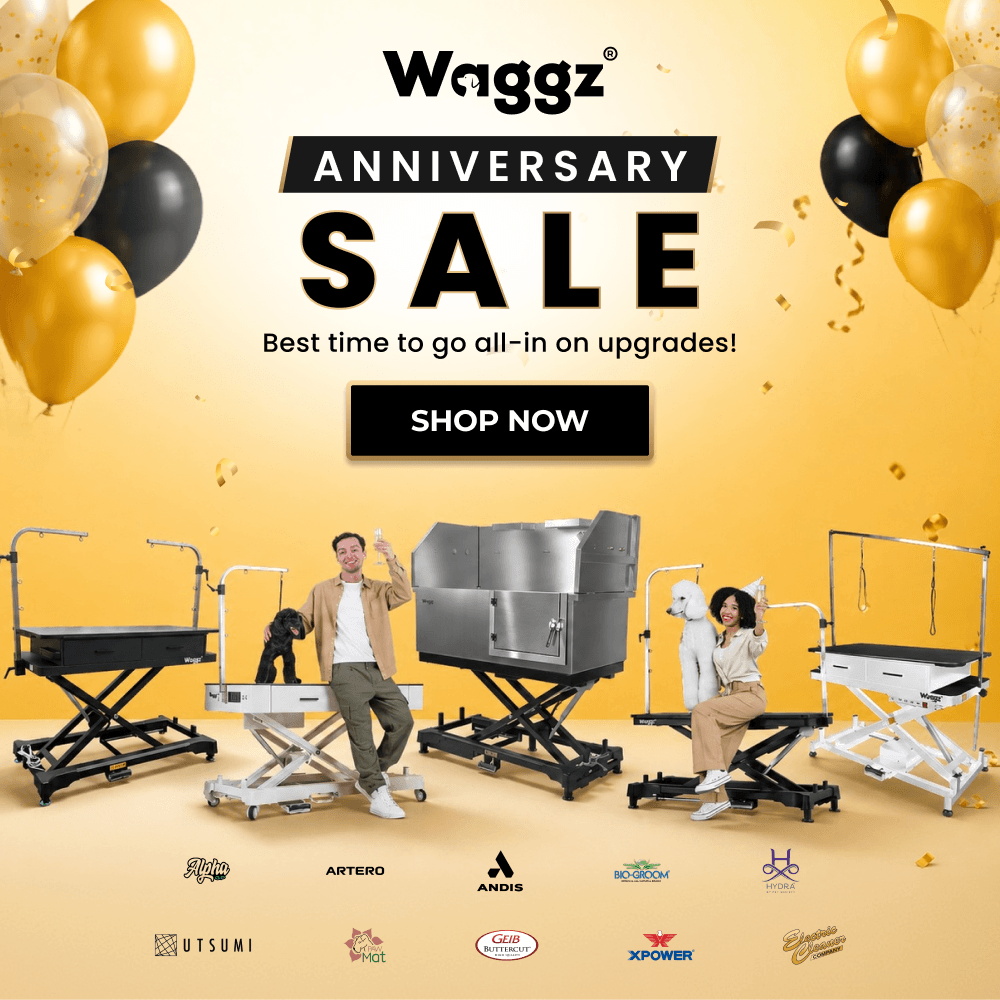 Anniversay sale 2026 Main Banner Mobile