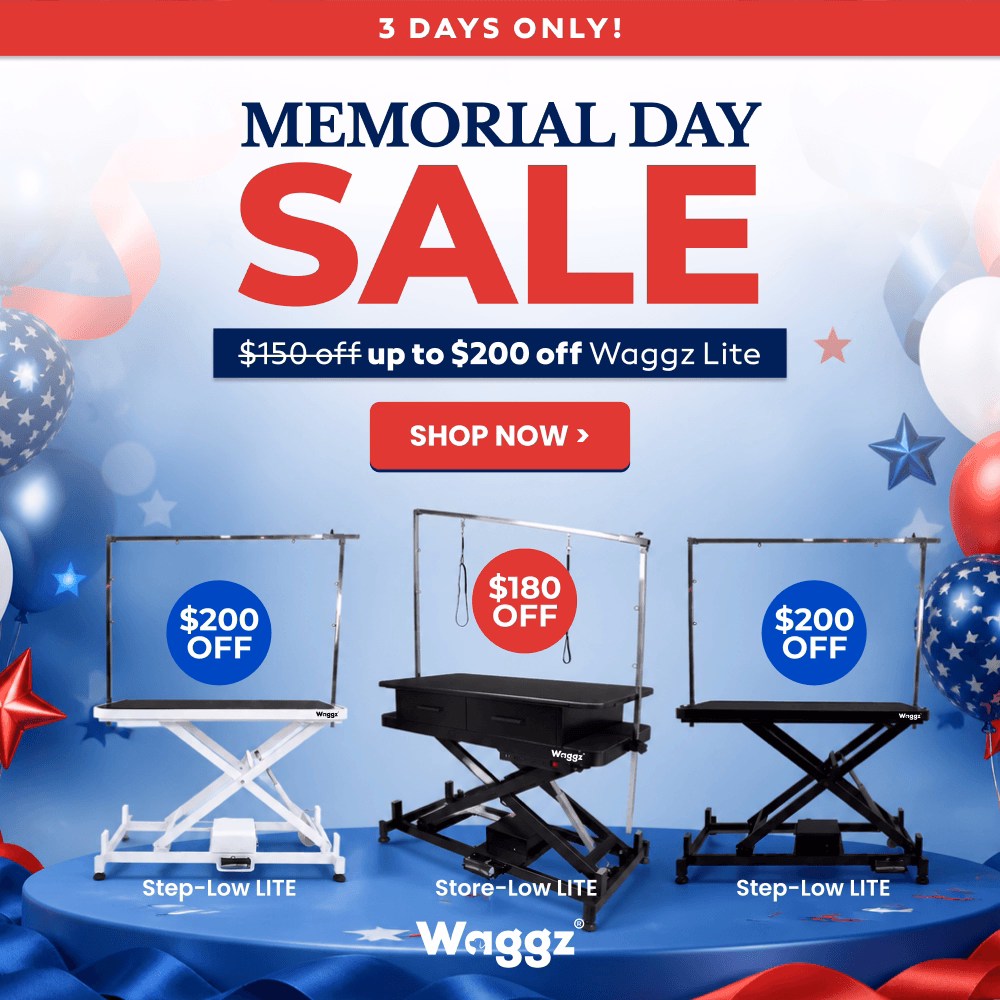 memorial day sale m