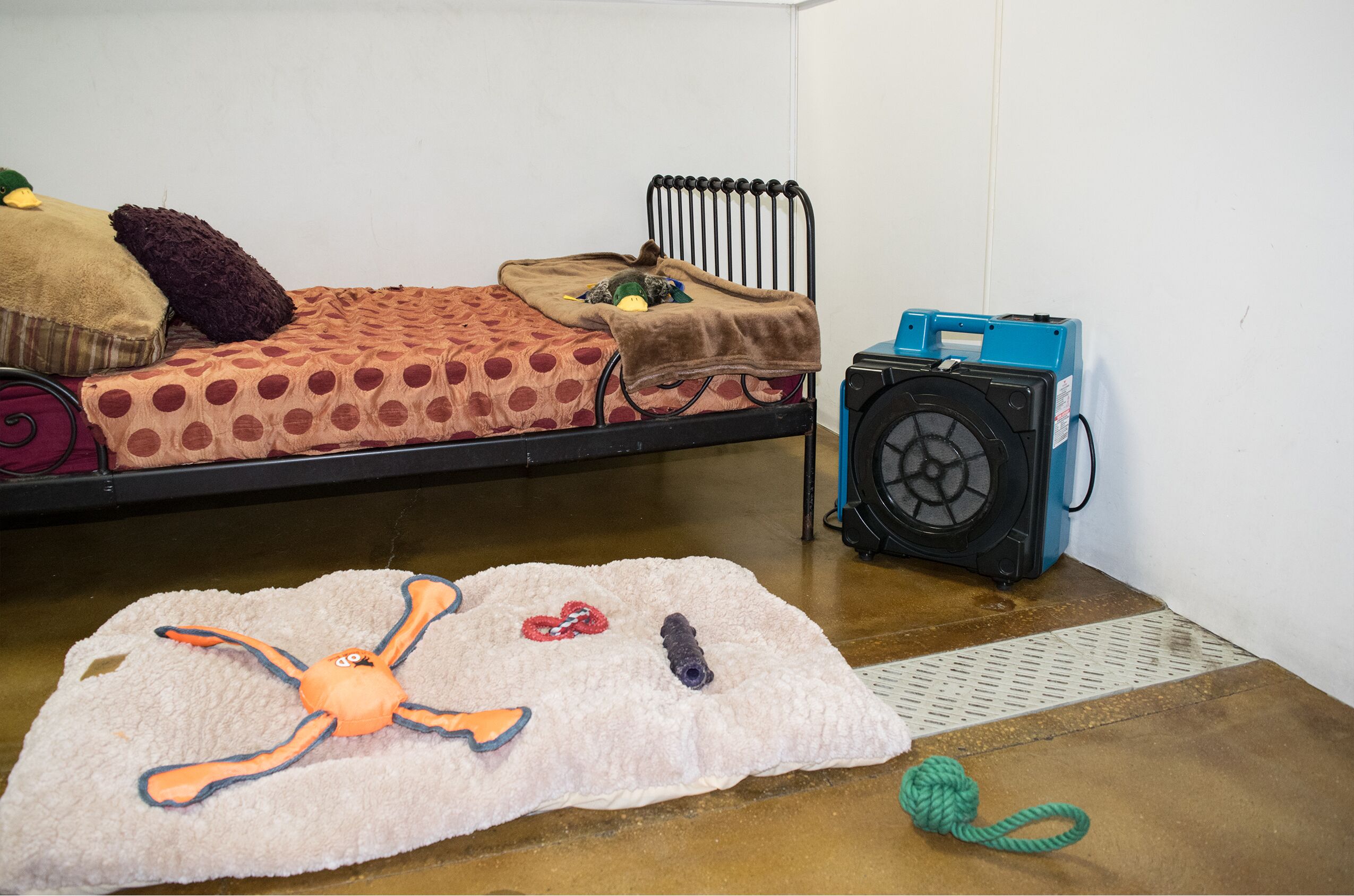 XPOWER X-2580 Professional 4-Stage HEPA Mini Air Scrubber Dog Grooming Dryer - Image 6