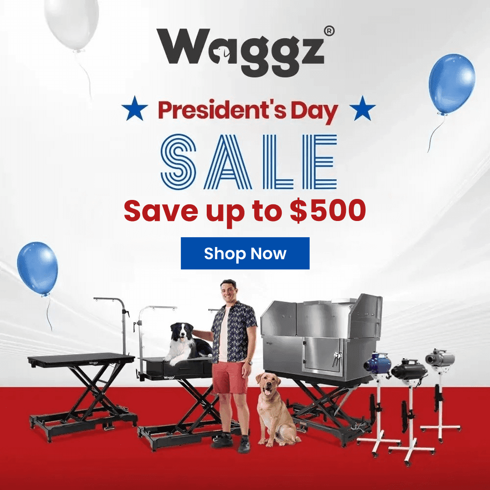 president day mobile banner