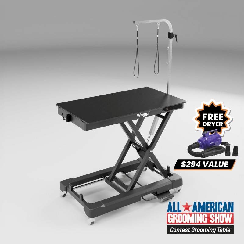 Show Sponsor Roll-Light Black Electric Dog Grooming Table - Image 1