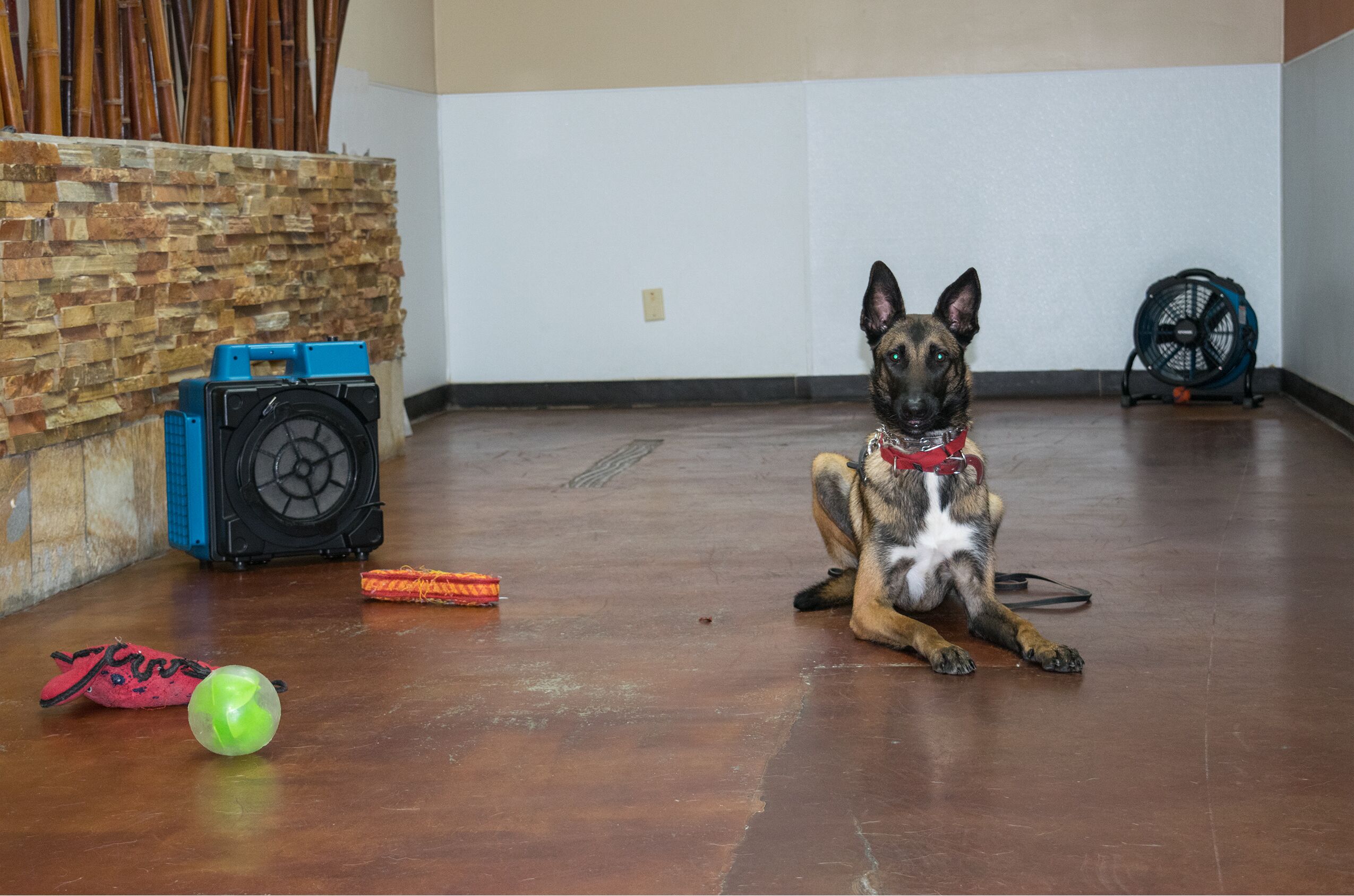 XPOWER X-2580 Professional 4-Stage HEPA Mini Air Scrubber Dog Grooming Dryer - Image 8