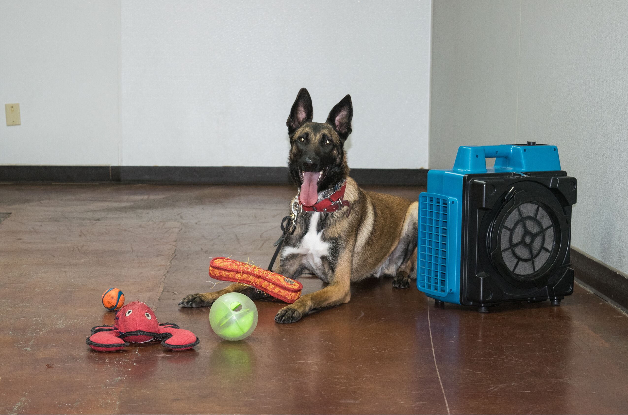 XPOWER X-2580 Professional 4-Stage HEPA Mini Air Scrubber Dog Grooming Dryer - Image 5