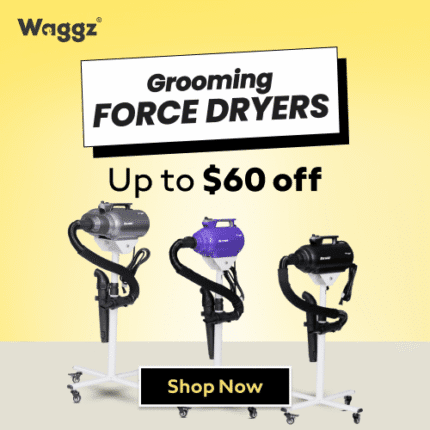 Refund Spending Spree Sale Force Dryers