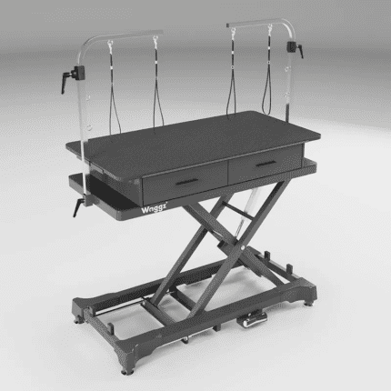 Waggz Store-Range XL 52” Electric Dog Grooming Table with Drawers & Power Outlets (Black)